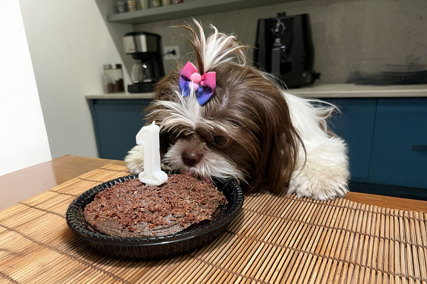 Bolo de Aniversário - Para Cães e Gatos