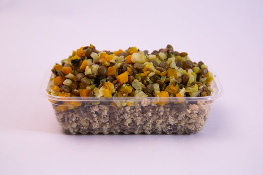 Marmita Diabéticos/Disfunção Endócrina Cão - Alimentação Natural para Cães Diabéticos e Disfunção Endócrina