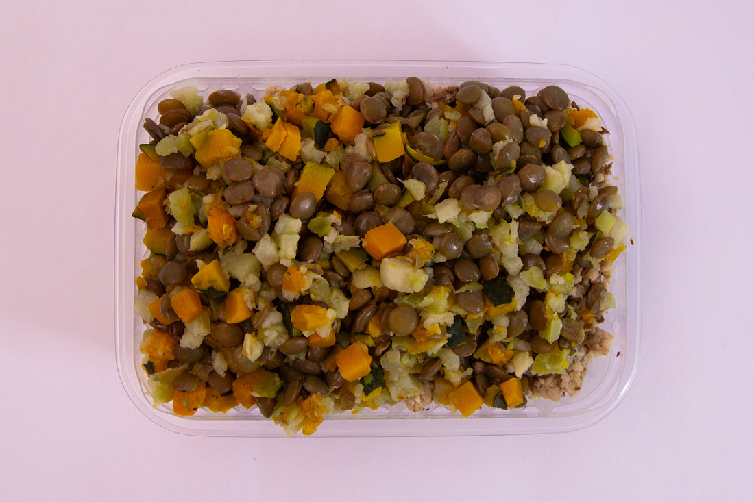 Marmita Diabéticos/Disfunção Endócrina Cão - Alimentação Natural para Cães Diabéticos e Disfunção Endócrina