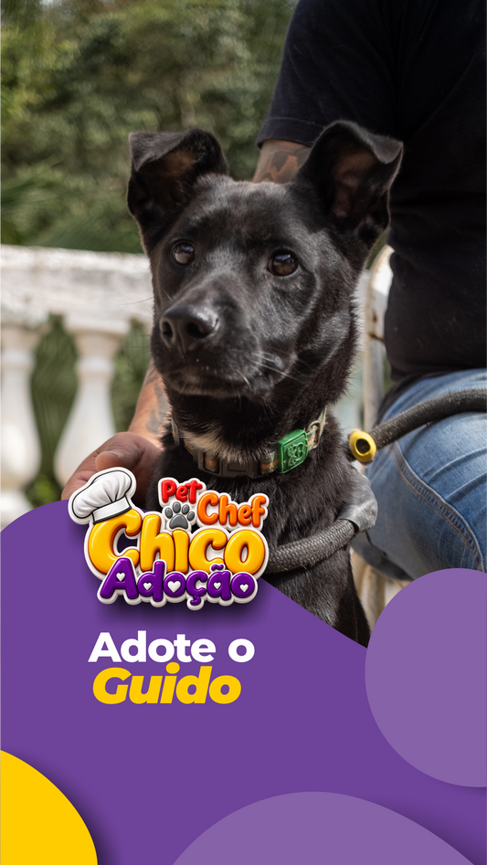 ADOTE OU APADRINHE O GUIDO 💛🐶