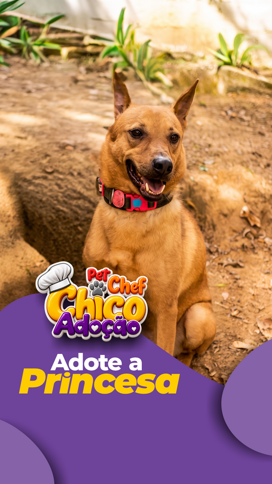 ADOTE OU APADRINHE A PRINCESA 🧡🐶