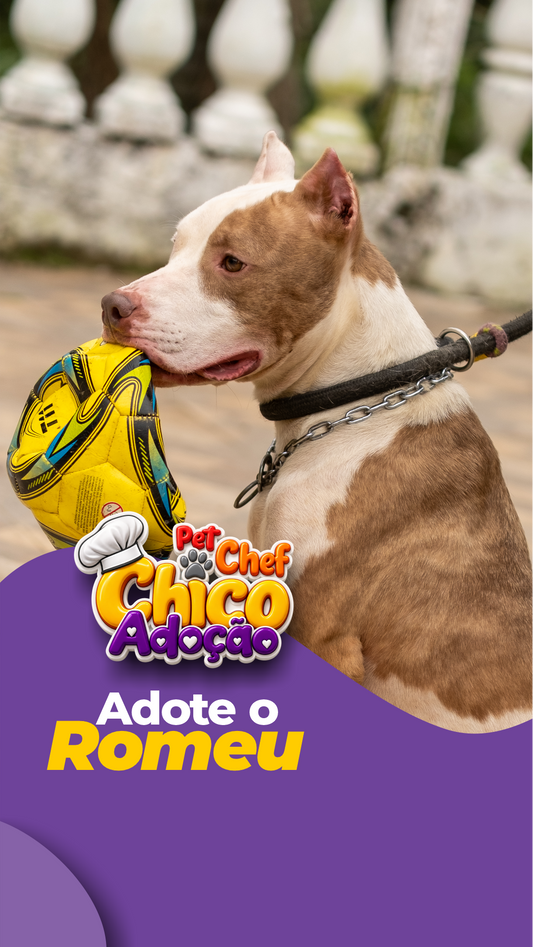ADOTE OU APADRINHE O ROMEU 💙🐶