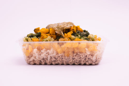 Marmita Hipoalergênica - Alimentação Natural para Cães Alérgicos