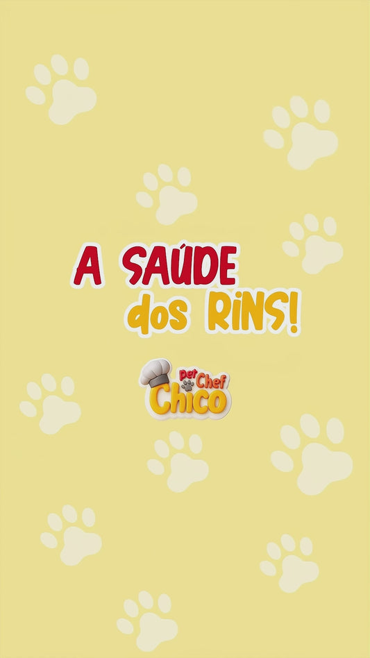 Marmita Renal - Alimentação Natural para Cães com Questões Renais