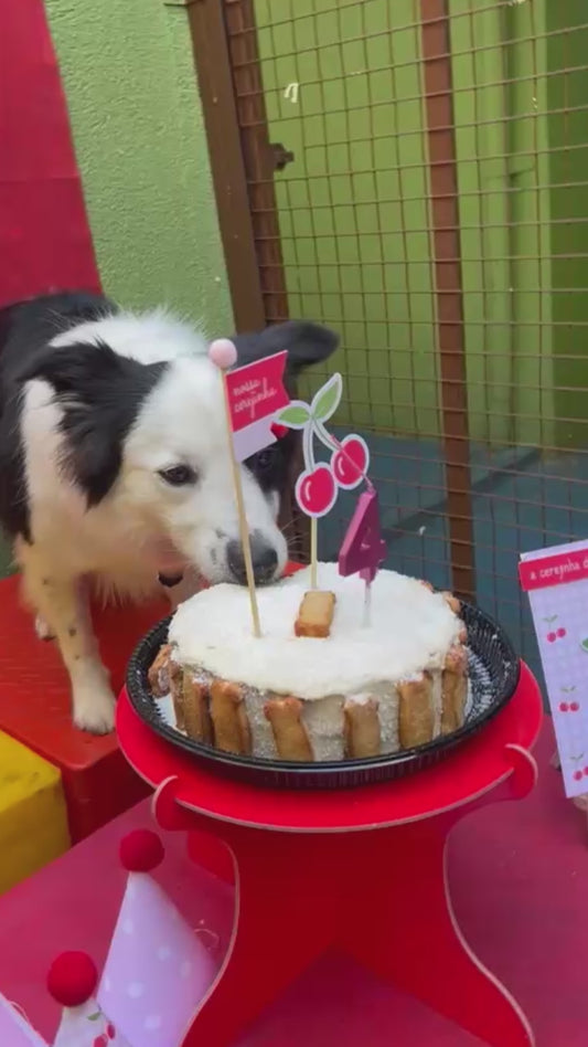 Bolo de Aniversário - Para Cães e Gatos