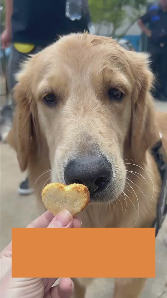 Biscoito de Coco - Petisco Natural para Cães e Gatos