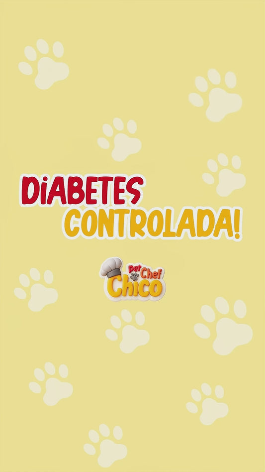 Marmita Diabéticos/Disfunção Endócrina Cão - Alimentação Natural para Cães Diabéticos e Disfunção Endócrina